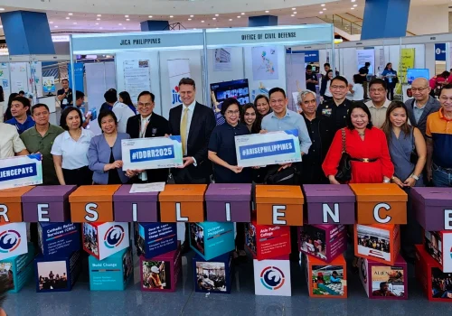 International Day for Disaster Risk Reduction 2025