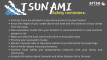 tsunami-4